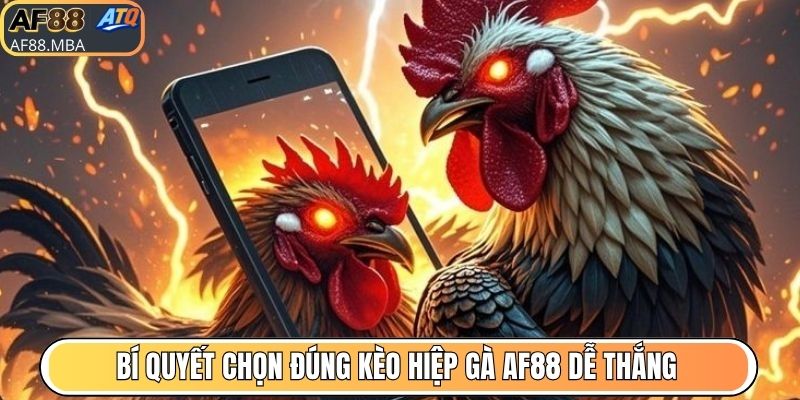 Bí quyết chọn đúng kèo hiệp gà AF88 dễ thắng