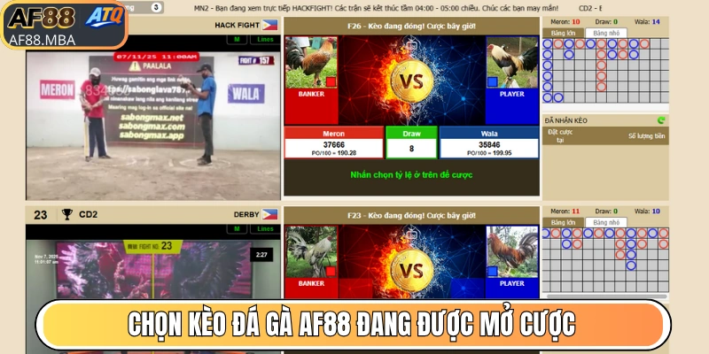 Chọn kèo đá gà áp dụng tại trang game