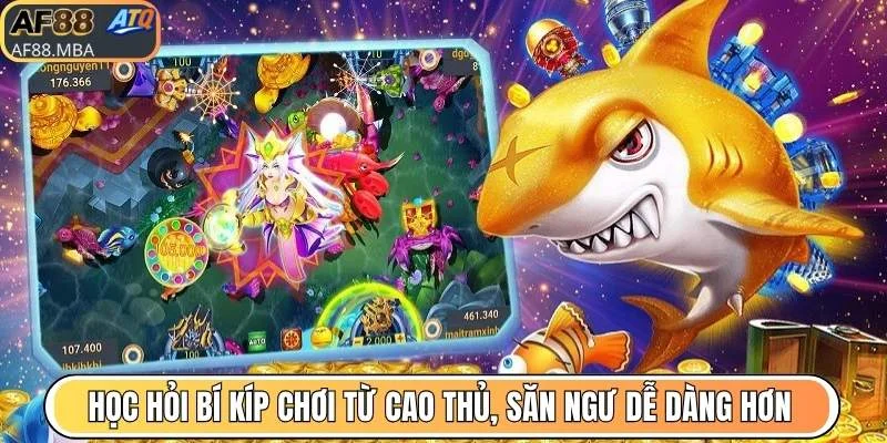 Học hỏi bí kíp chơi từ cao thủ, săn ngư dễ dàng hơn