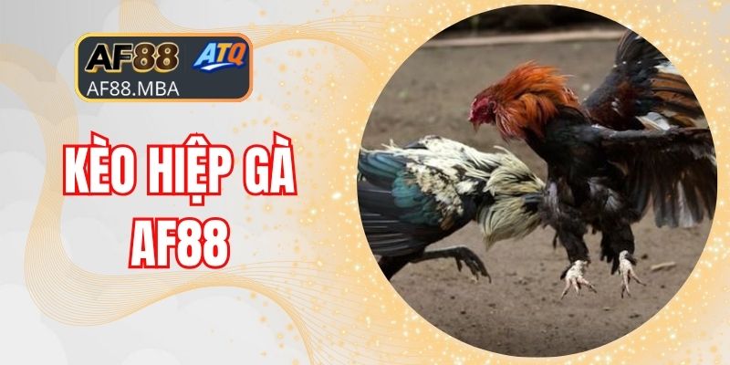 Kèo Hiệp Gà AF88 - Hơn 10.000 Trận Nảy Lửa Mỗi Ngày