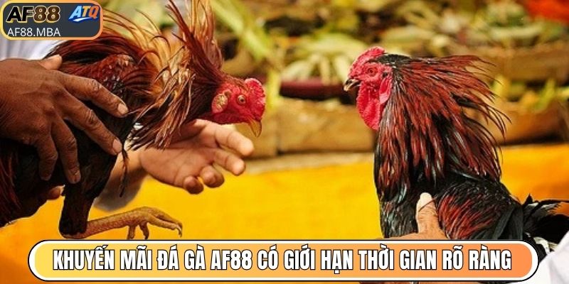 Khuyến mãi đá gà AF88 có giới hạn thời gian rõ ràng