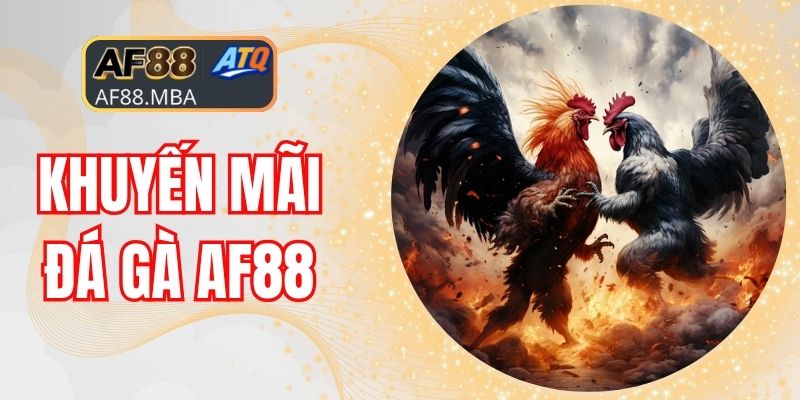 Khuyến Mãi Đá Gà AF88 - Nhà Cái Tri Ân Người Chơi Uy Tín