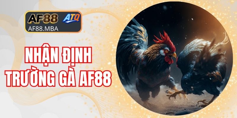 Nhận Định Trường Gà AF88 - Uy Tín Vững Chắc Qua Thời Gian
