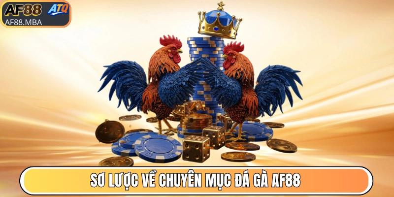 Sơ lược về chuyên mục đá gà AF88