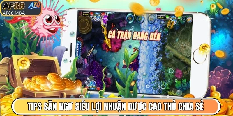 Tips săn ngư siêu lợi nhuận được cao thủ chia sẻ