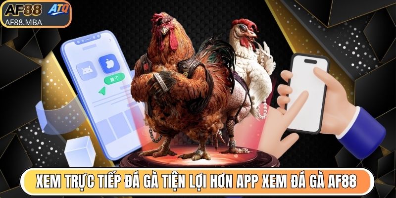 Xem trực tiếp đá gà tiện lợi hơn với app xem đá gà AF88